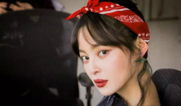 辛芷蕾最新电视剧,情感纠葛下的命运抉择